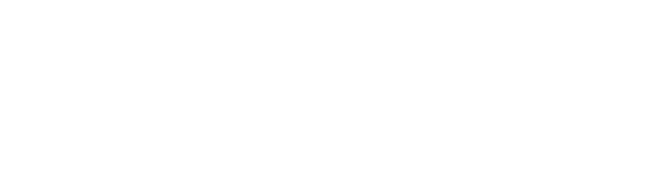 Логотип с наименованием (светлый)
